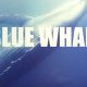 Blue Whale, Anche a Reggio Calabria presunta partecipazione al gioco suicida