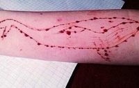 Blue Whale, tragedia sfiorata a Messina: 17enne salvato dal suicidio, scatta l’emergenza nelle scuole