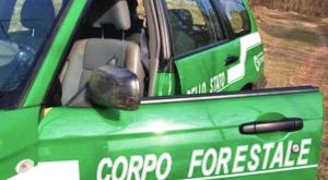 forestale_corpo_auto