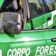 Un bosco di castagno estirpato e distrutto