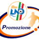 Risultati Prima Categoria di Calcio || A.C. Scillese 2012 Sogna la Promozione
